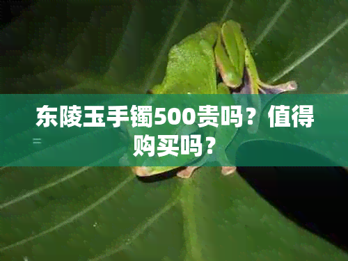 东陵玉手镯500贵吗？值得购买吗？