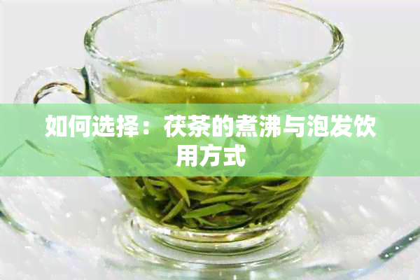 如何选择：茯茶的煮沸与泡发饮用方式