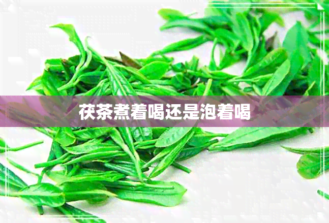 茯茶煮着喝还是泡着喝