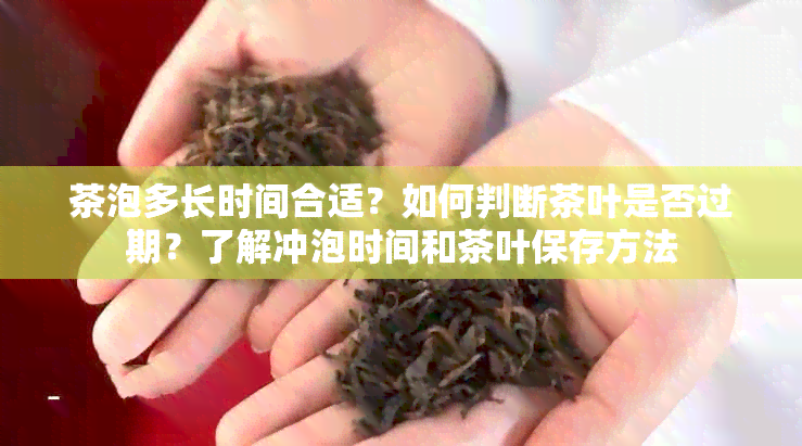 茶泡多长时间合适？如何判断茶叶是否过期？了解冲泡时间和茶叶保存方法