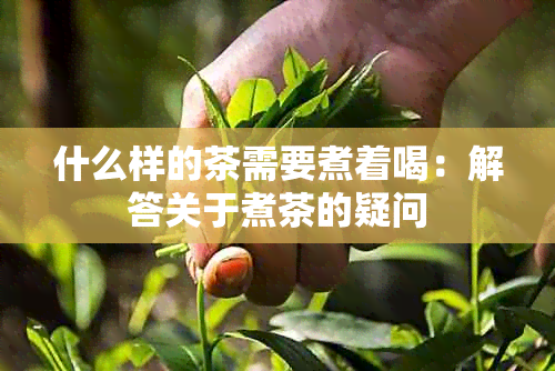 什么样的茶需要煮着喝：解答关于煮茶的疑问