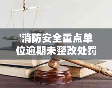 '消防安全重点单位逾期未整改处罚决定书模板'