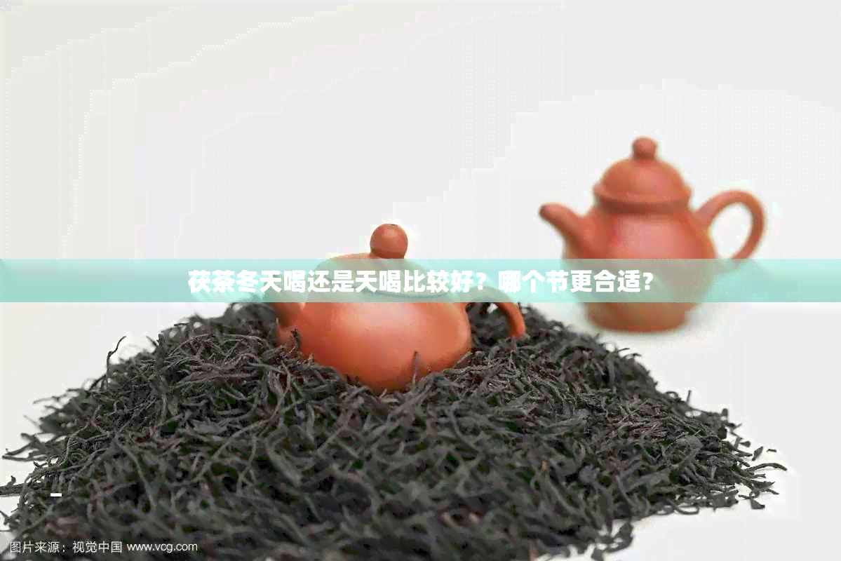 茯茶冬天喝还是天喝比较好？哪个节更合适？