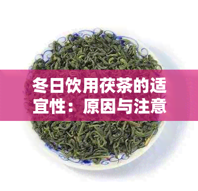 冬日饮用茯茶的适宜性：原因与注意事项，让你更了解冬饮茶的选择