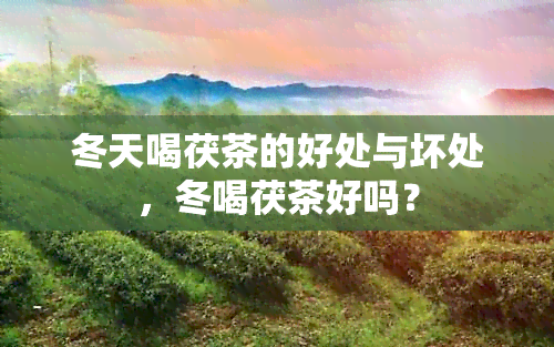 冬天喝茯茶的好处与坏处，冬喝茯茶好吗？