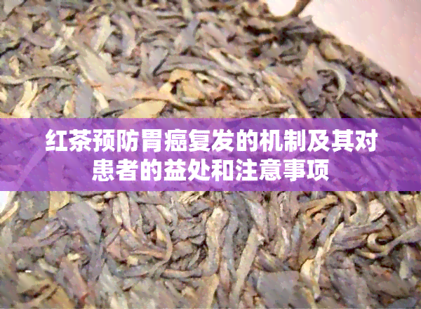 红茶预防胃癌复发的机制及其对患者的益处和注意事项