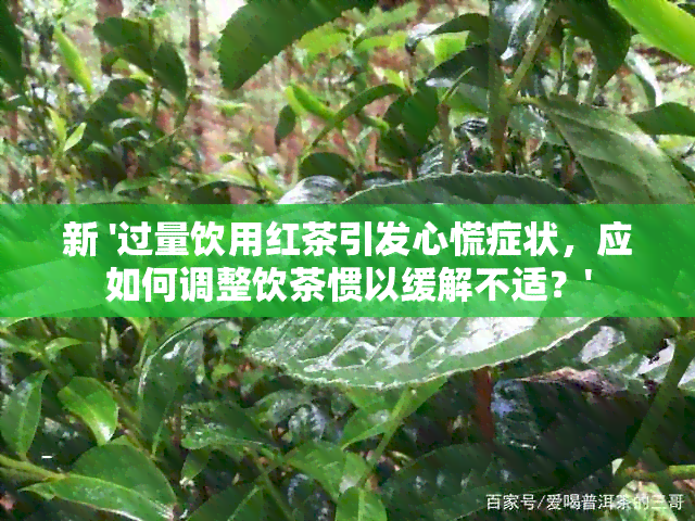 新 '过量饮用红茶引发心慌症状，应如何调整饮茶惯以缓解不适？'