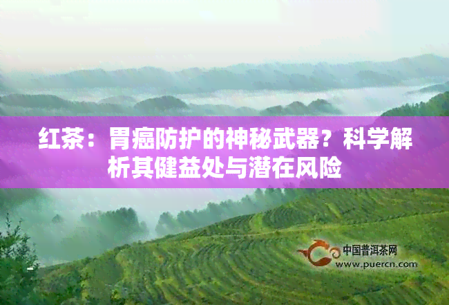 红茶：胃癌防护的神秘武器？科学解析其健益处与潜在风险