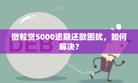 微粒贷5000逾期还款困扰，如何解决？