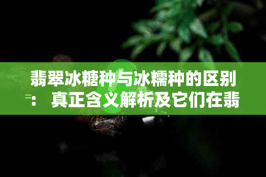 翡翠冰糖种与冰糯种的区别： 真正含义解析及它们在翡翠中的定位