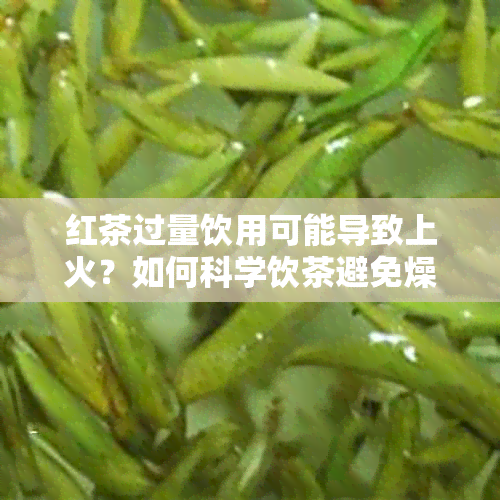 红茶过量饮用可能导致上火？如何科学饮茶避免燥热问题