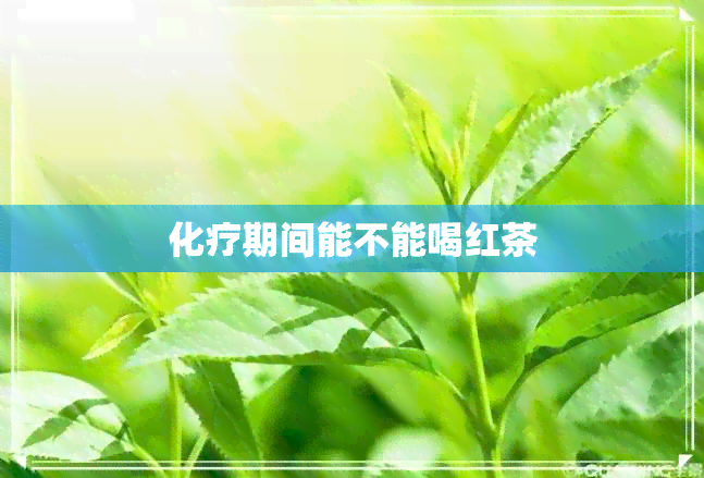 化疗期间能不能喝红茶