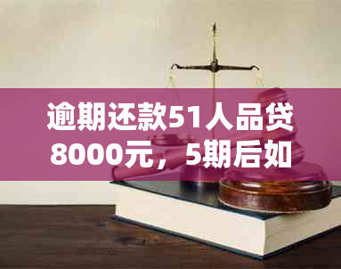 逾期还款51人品贷8000元，5期后如何解决？