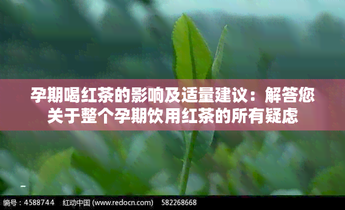 孕期喝红茶的影响及适量建议：解答您关于整个孕期饮用红茶的所有疑虑