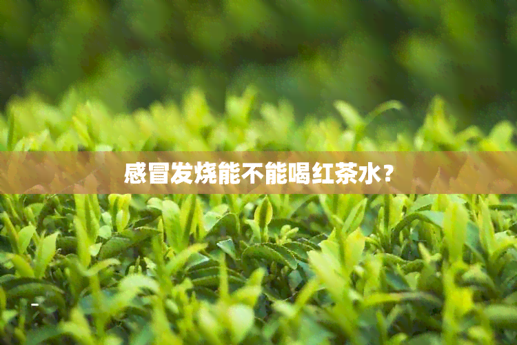 感冒发烧能不能喝红茶水？