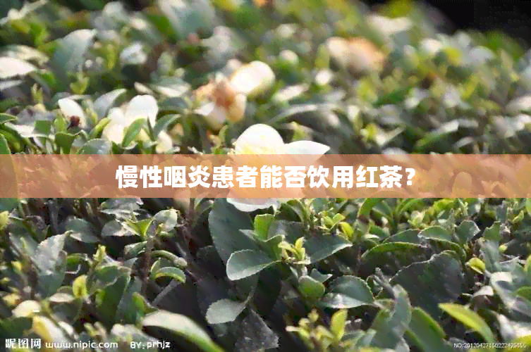 慢性咽炎患者能否饮用红茶？