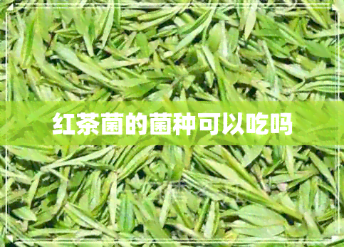 红茶菌的菌种可以吃吗