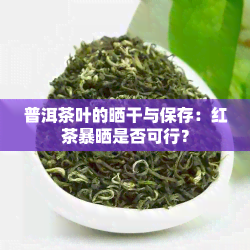 普洱茶叶的晒干与保存：红茶暴晒是否可行？