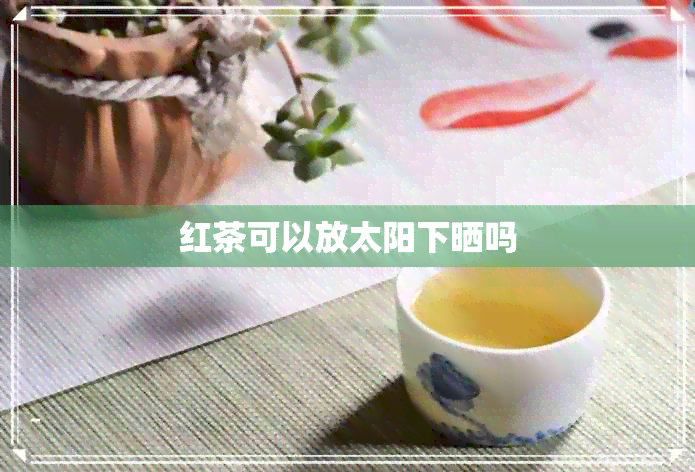 红茶可以放太阳下晒吗