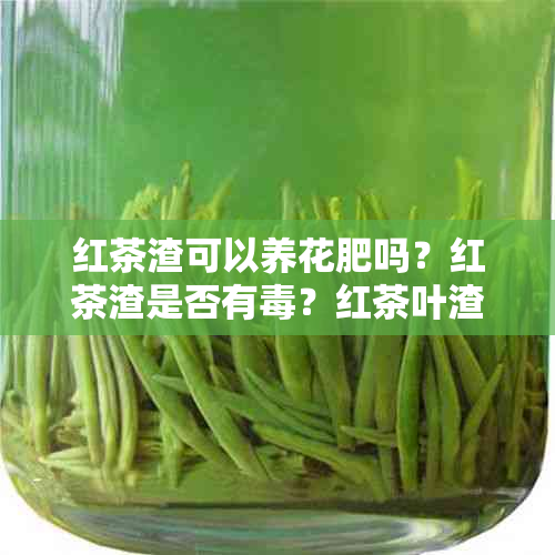 红茶渣可以养花肥吗？红茶渣是否有？红茶叶渣子是否适合做花肥？