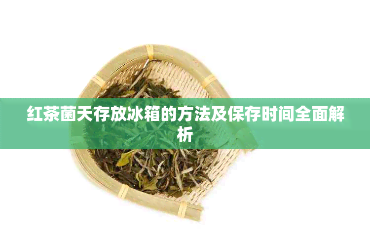 红茶菌天存放冰箱的方法及保存时间全面解析