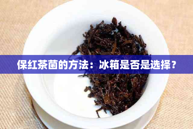 保红茶菌的方法：冰箱是否是选择？