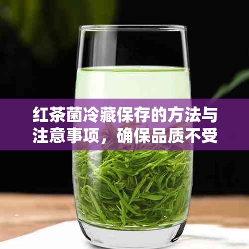 红茶菌冷藏保存的方法与注意事项，确保品质不受影响