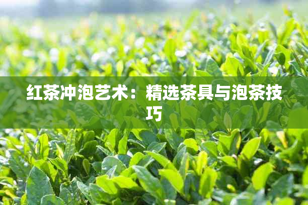 红茶冲泡艺术：精选茶具与泡茶技巧