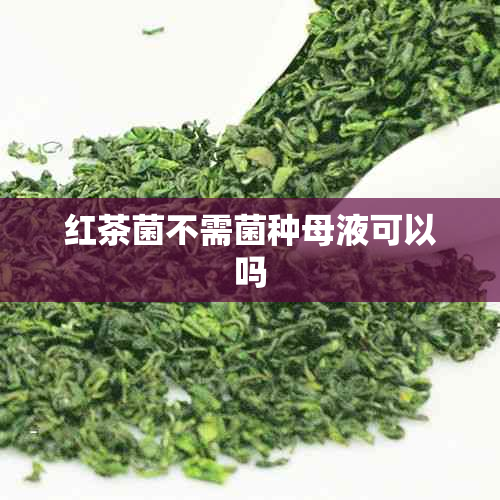 红茶菌不需菌种母液可以吗