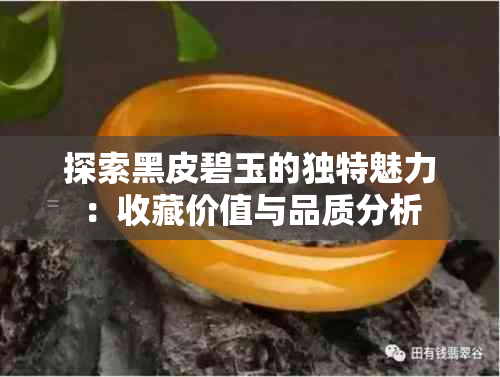 探索黑皮碧玉的独特魅力：收藏价值与品质分析