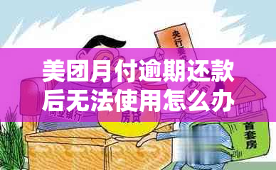 美团月付逾期还款后无法使用怎么办？用户常见问题解答