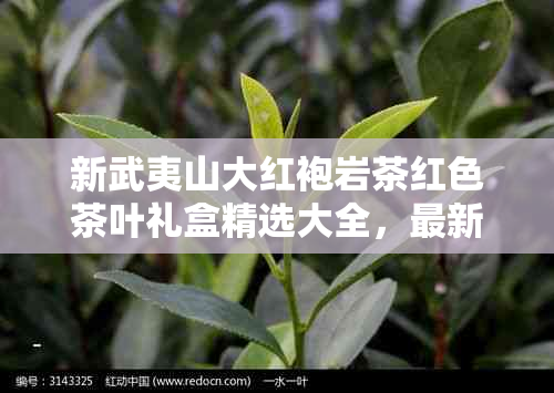 新武夷山大红袍岩茶红色茶叶礼盒精选大全，最新报价及京东阿里批发价