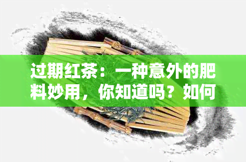 过期红茶：一种意外的肥料妙用，你知道吗？如何正确使用它来浇花？