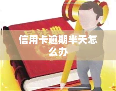 信用卡逾期半天怎么办