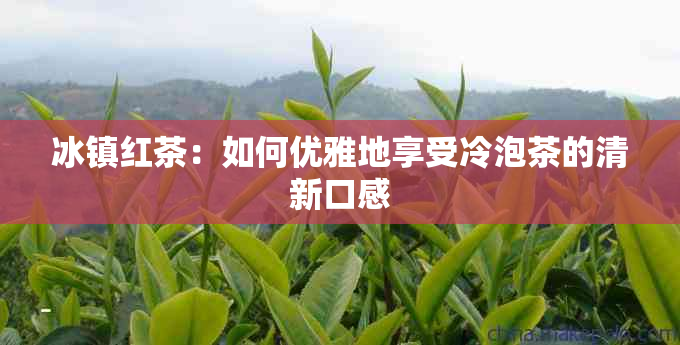 冰镇红茶：如何优雅地享受冷泡茶的清新口感