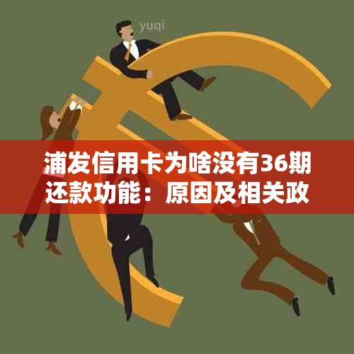 浦发信用卡为啥没有36期还款功能：原因及相关政策解读