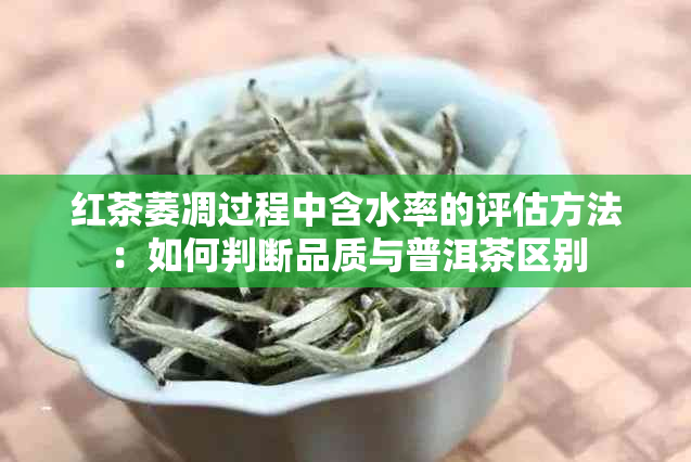 红茶萎凋过程中含水率的评估方法：如何判断品质与普洱茶区别