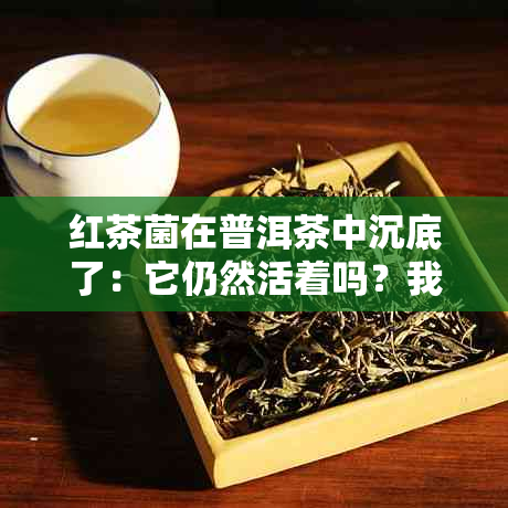 红茶菌在普洱茶中沉底了：它仍然活着吗？我们还可以食用吗？