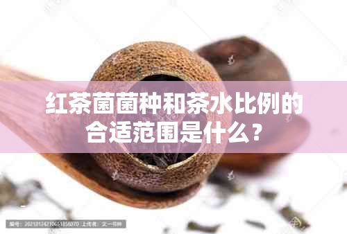 红茶菌菌种和茶水比例的合适范围是什么？