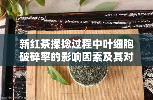 新红茶揉捻过程中叶细胞破碎率的影响因素及其对茶叶品质的影响分析