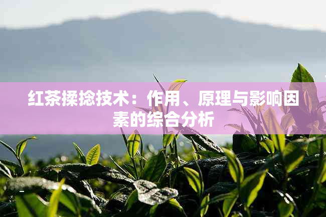 红茶揉捻技术：作用、原理与影响因素的综合分析