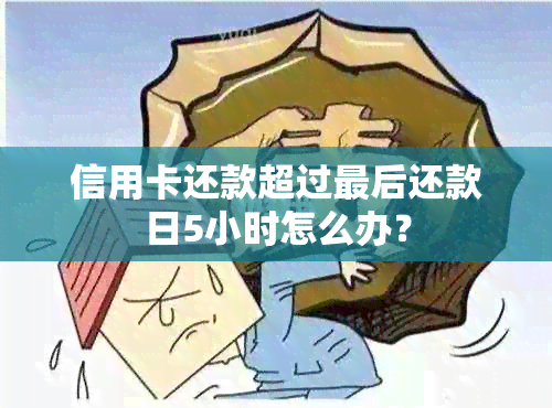 信用卡还款超过最后还款日5小时怎么办？