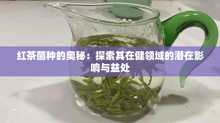 红茶菌种的奥秘：探索其在健领域的潜在影响与益处