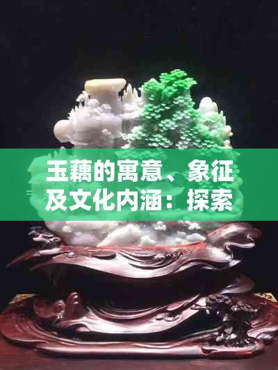 玉藕的寓意、象征及文化内涵：探索这种水生植物背后的多重意义