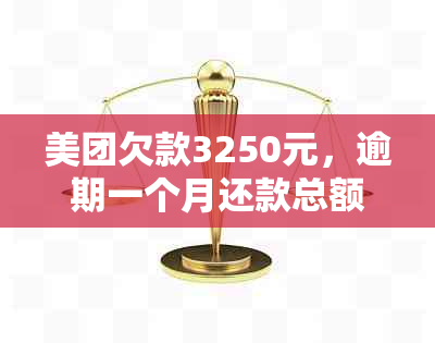 美团欠款3250元，逾期一个月还款总额及相关费用如何计算？