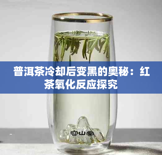 普洱茶冷却后变黑的奥秘：红茶氧化反应探究