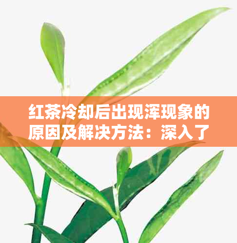 红茶冷却后出现浑现象的原因及解决方法：深入了解红茶品质与冲泡技巧