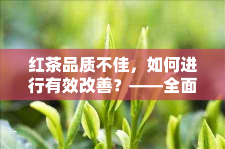 红茶品质不佳，如何进行有效改善？——全面解决您在红茶品质问题上的需求