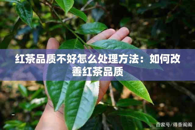 红茶品质不好怎么处理方法：如何改善红茶品质