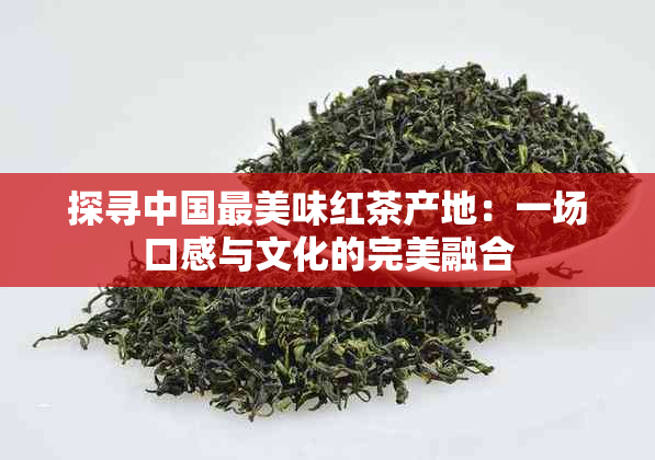 探寻中国最美味红茶产地：一场口感与文化的完美融合